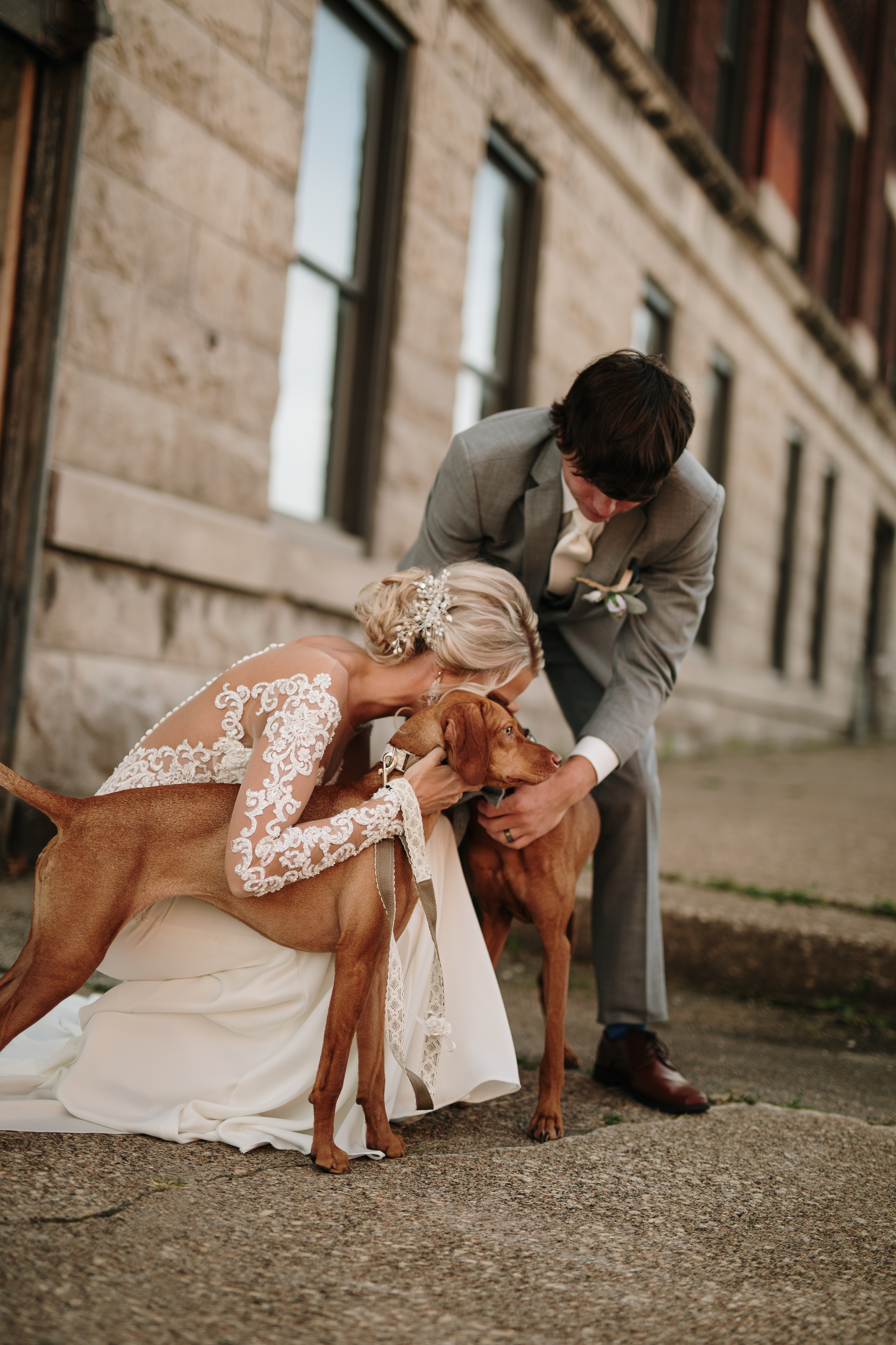 couple posing with their dogs on their wedding day
