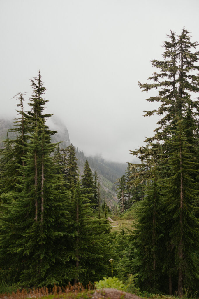 How to Elope in Washington State in places like mt Baker