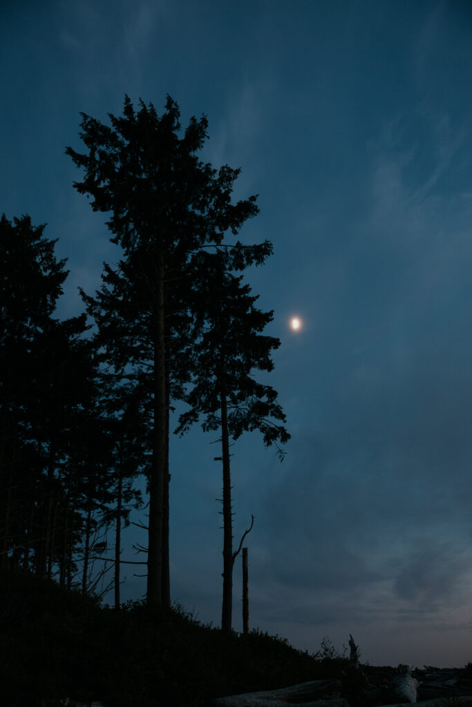 Ruby beach in Washington with the moon out